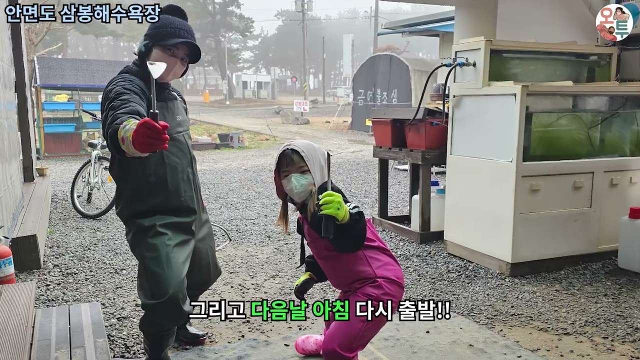 태안 안면도 삼봉해수욕장 해루질 체험 / 비바람 몰아치는 바닷가 / 조개줍기