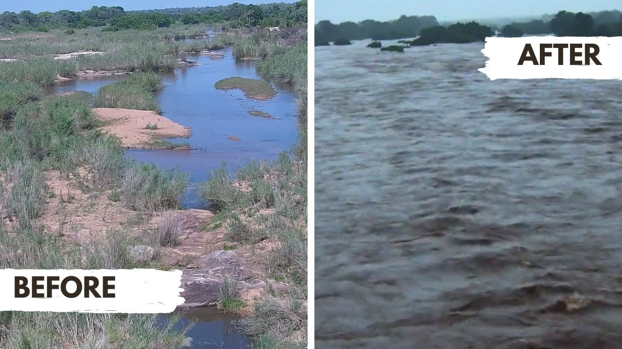 Kruger National Park Floods 2026 - Sabie River Before & After
