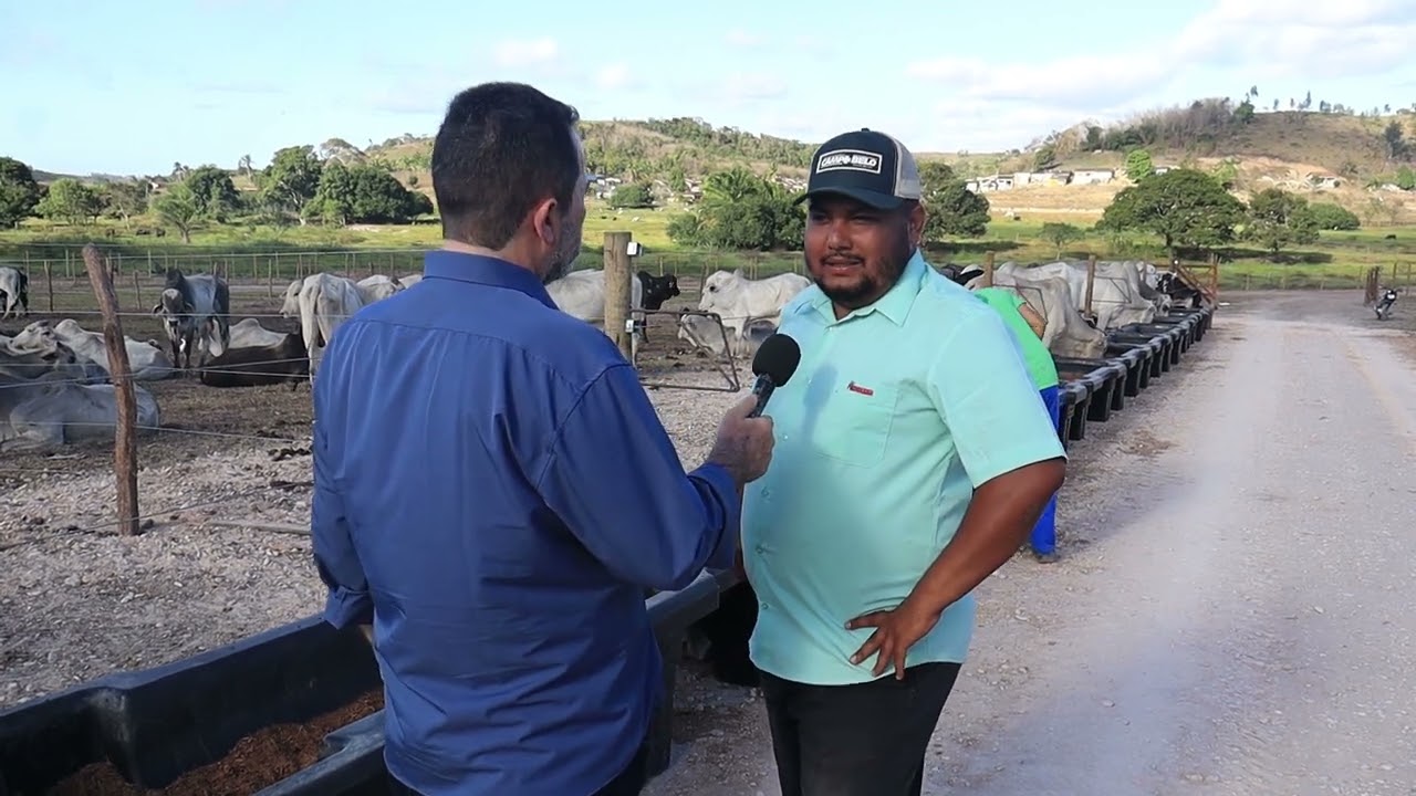 Hotel do boi: ração com WDG de milho e de sorgo viabiliza primeiro confinamento coletivo de bovinos