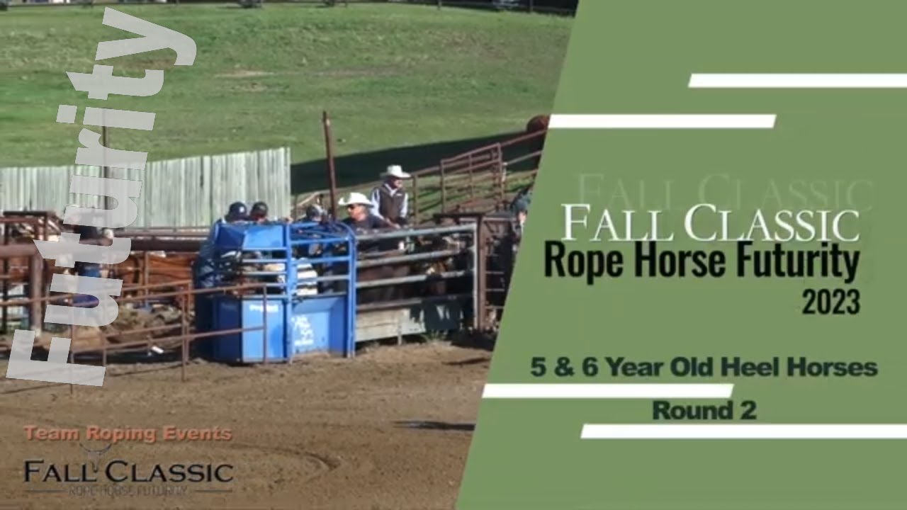 Fall Classic Rope Horse Futurity 2023 - Heel Horses Round 2