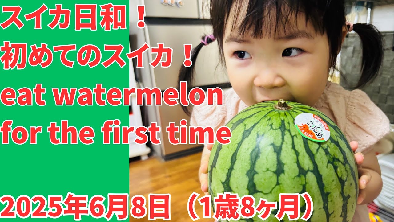 【子育て日記】初めてのスイカー！スイカを食べてみた！#はじめての #スイカ #1歳8ヶ月 #baby #cute #星海ちゃん #watermelon #firsttime