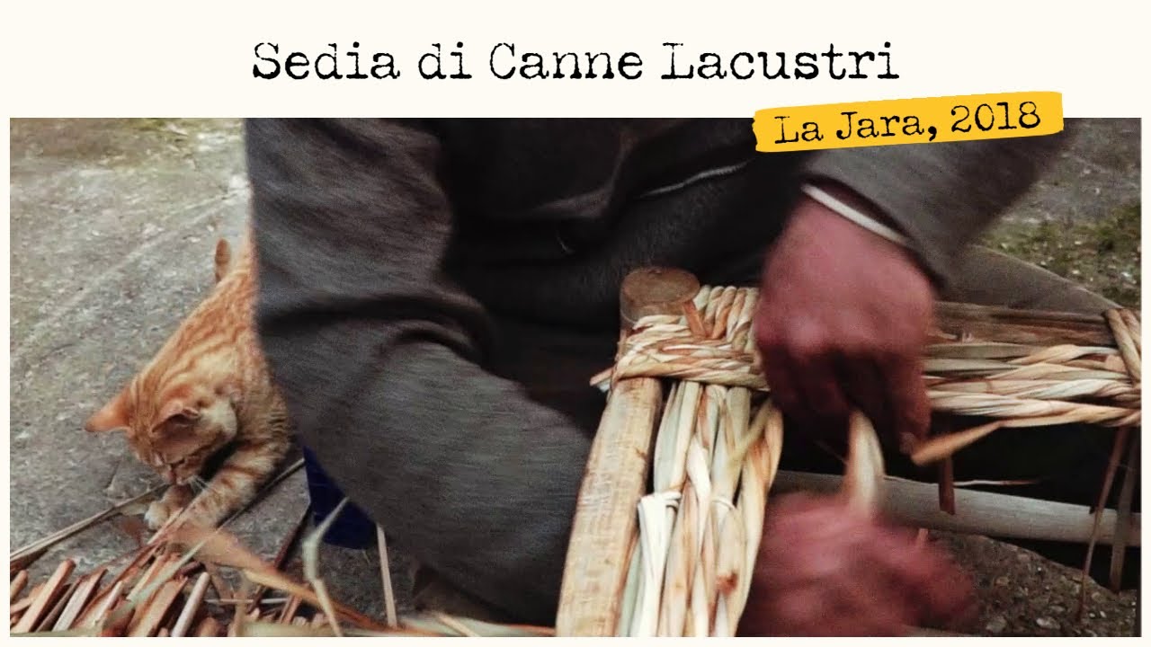 Sedia di canne lacustri | Los Navalmorales, 2018