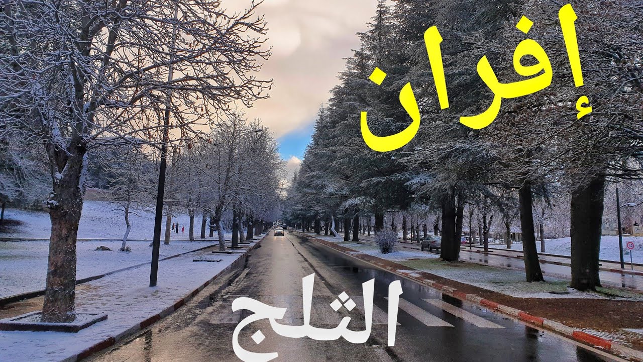 الثلوج تزين سويسرا المغرب مدينة إفران Ifrane Morocco  #ifrane #المغرب #morocco #الثلج