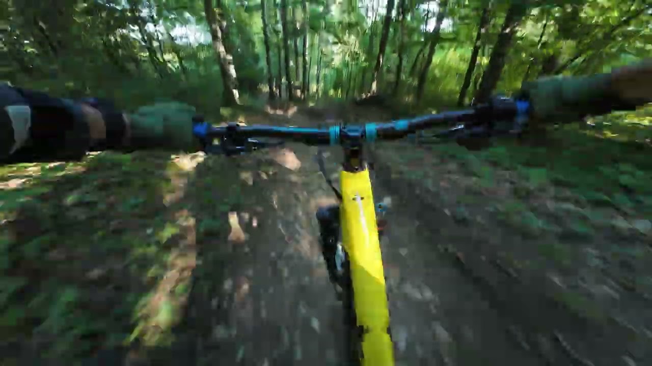 BielTrail Downhill Maggligen