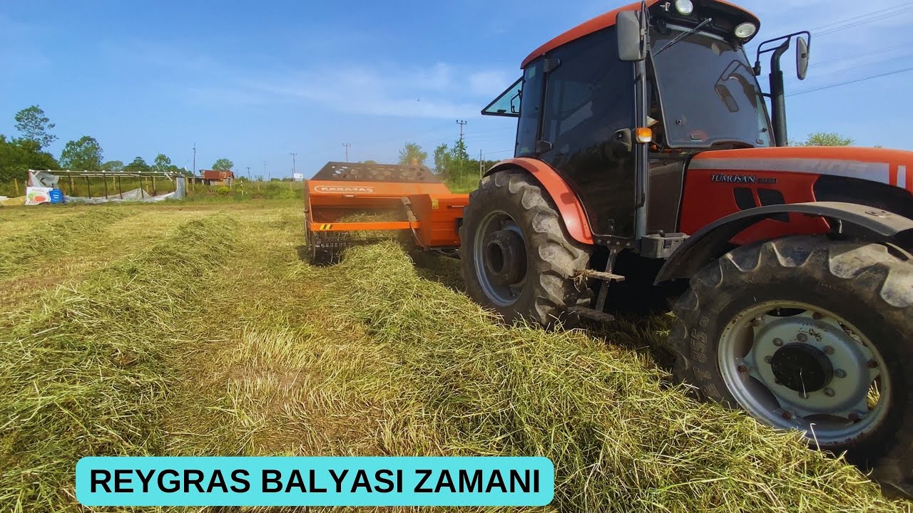 OTLARIMIZI BALYA YAPIYORUZ / BAHÇE İŞLERİ / OT TOPLAMA VE BALYALAMA..