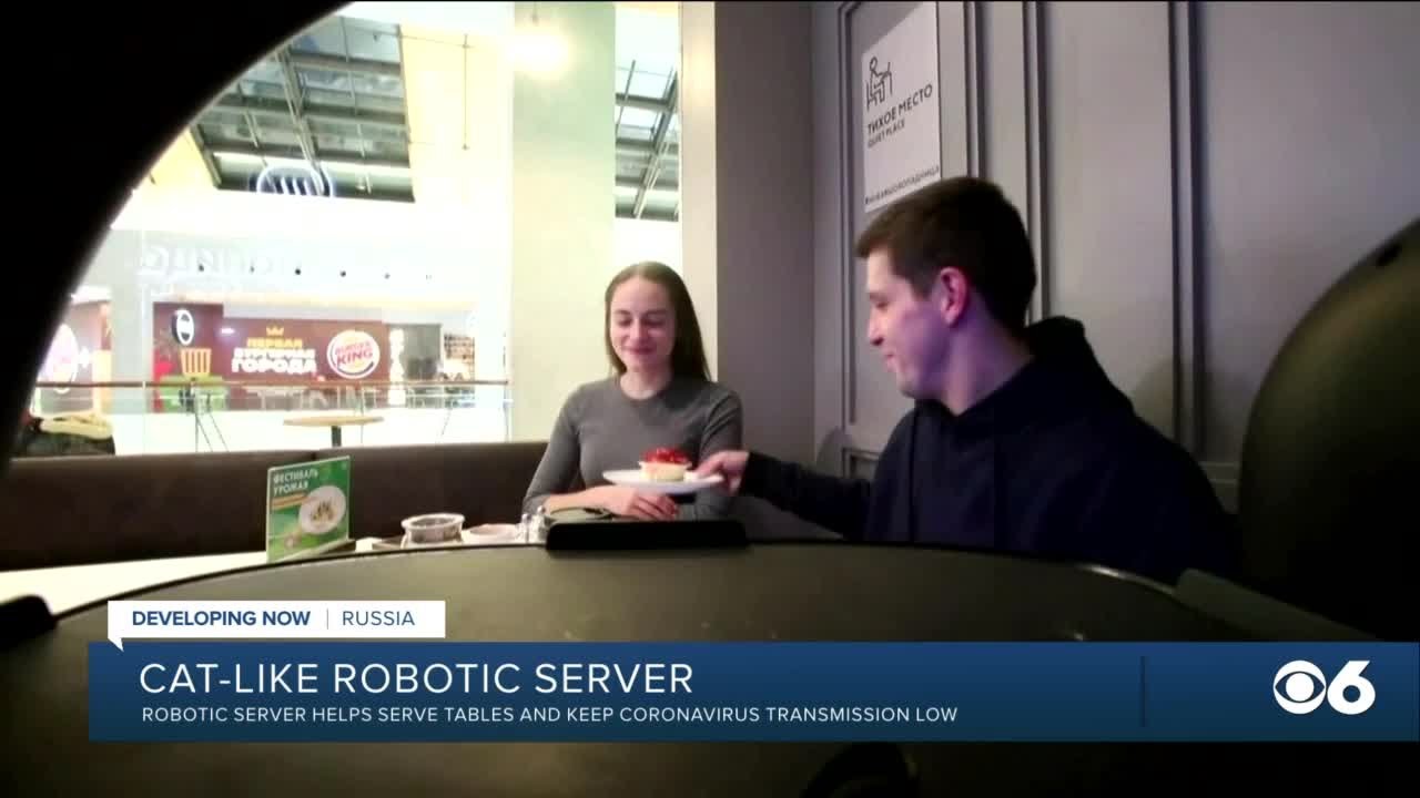 robot cat waiter
