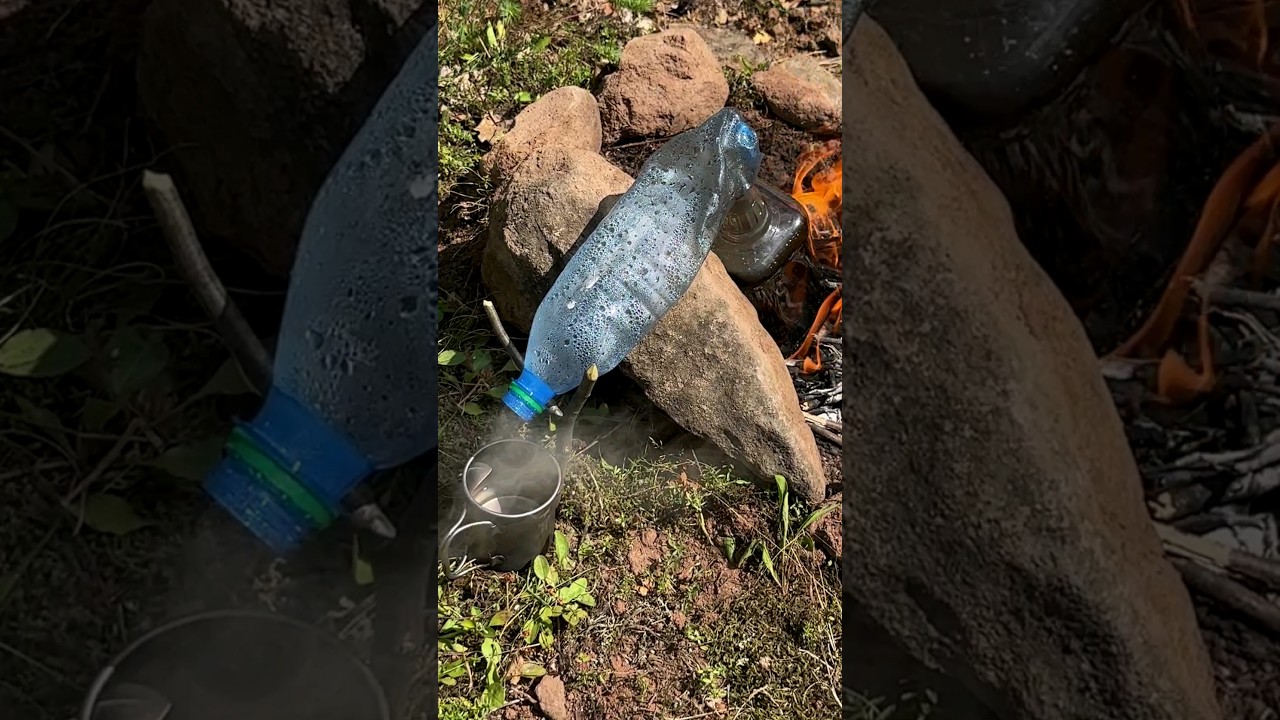 Survival Skills: Steam Distiller for Dirty Water in Extreme Conditions. #survival #camping