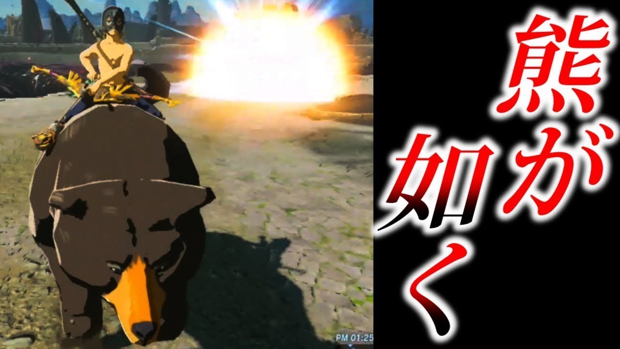 熊に乗ってライネルに挑戦してみた＋熊のＨＰ測ってみた【ゼルダの伝説ブレスオブザワイルド】検証　実況