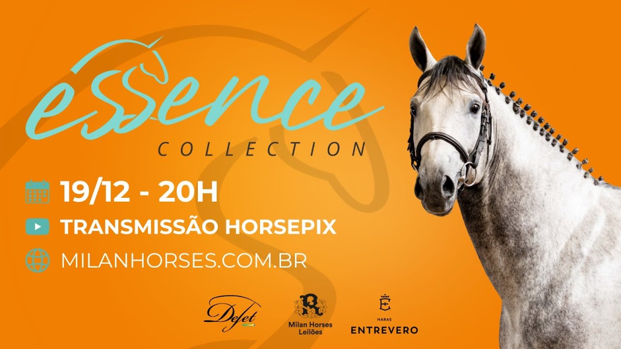 LEIL&Atilde;O ESSENCE COLLECTION - MILAN HORSE - Horsepix