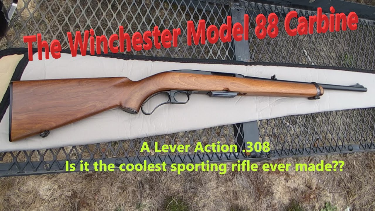 The Winchester Model 88 Carbine: Coolest Sporting Rifle Ever Made?
