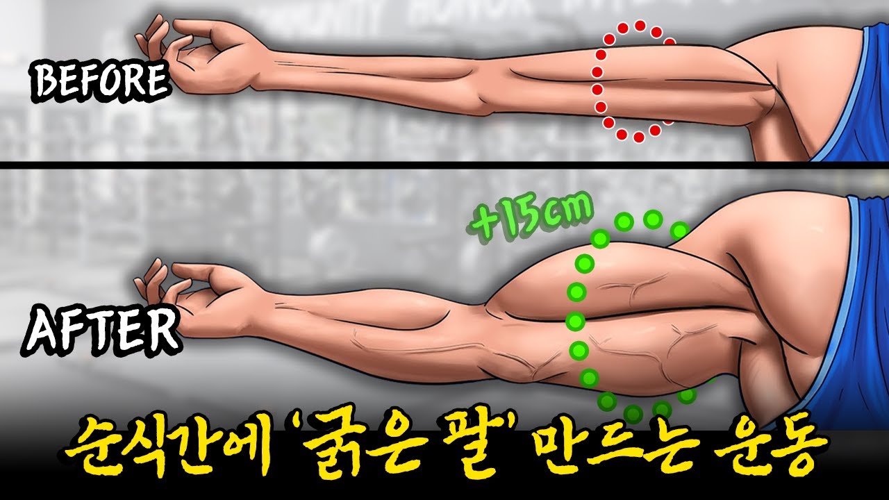 '굵은 팔' 2배 빠르게 키우는 미친 방법 (팔사이즈, 이두, 삼두 운동)