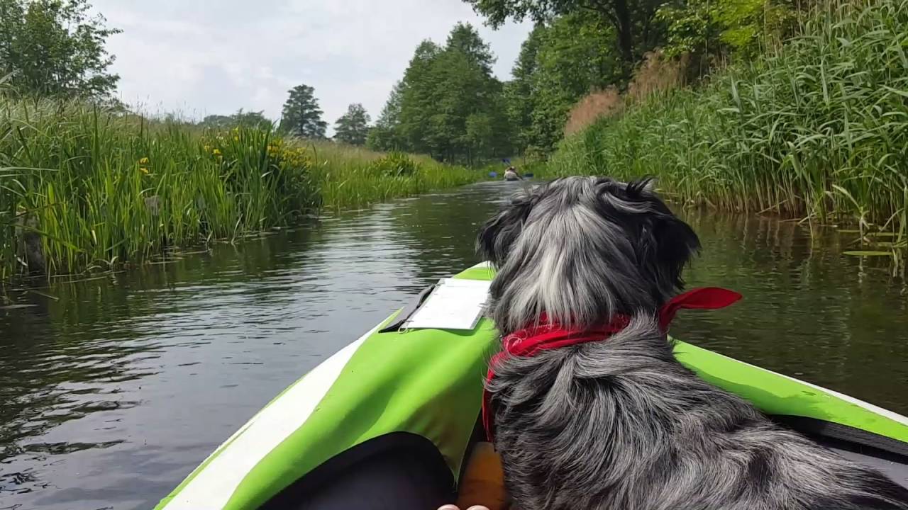 Lübbenau / Spreewald   Wasserwandern