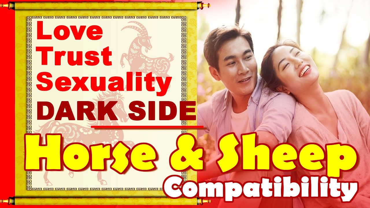 Horse and Sheep Compatibility in Love, Life, Trust, Intimacy | Horse and Sheep Zodiac Compatibility