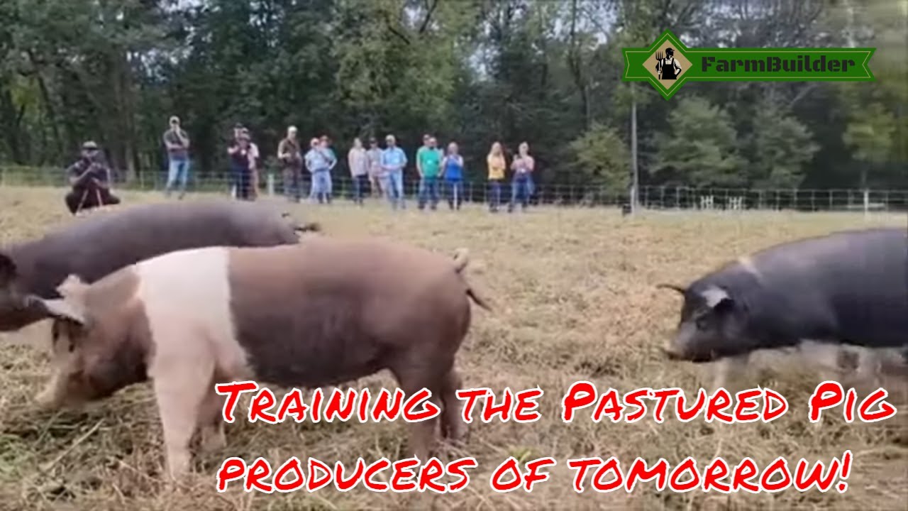 Farrow to Finish & Marketing Schools ~ 2021 #shorts #pasturedpigs #farmbuilder