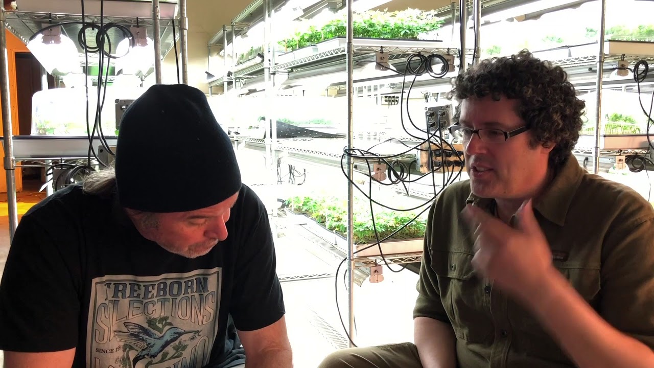 The Kevin Jodrey Sessions #1 - Growing for Premium Pre-Rolls