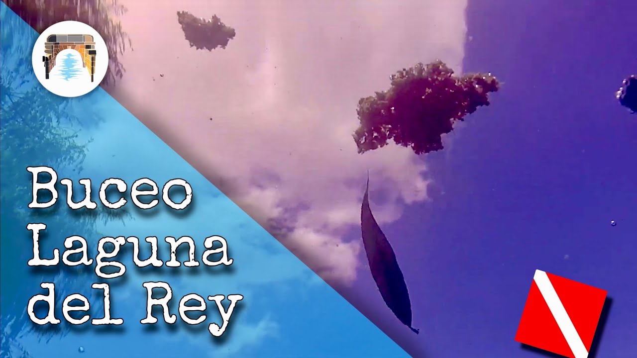 BUCEO en la laguna DEL REY 🤿 Lagunas de Ruidera