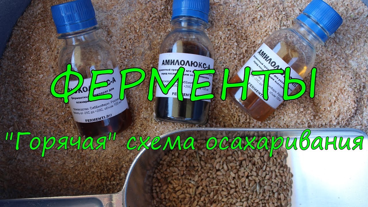 Ферменты. 