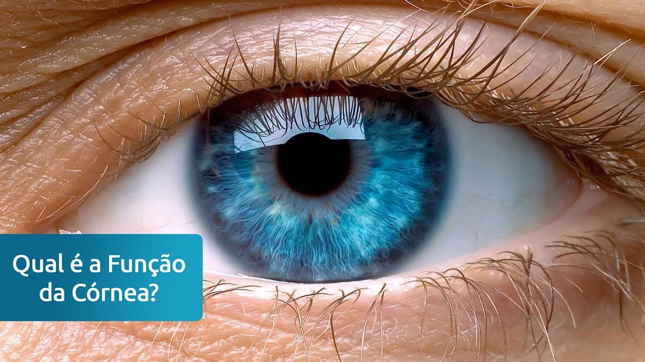 Qual &eacute; a Fun&ccedil;&atilde;o da C&oacute;rnea - Dr. Bressan Oftalmo