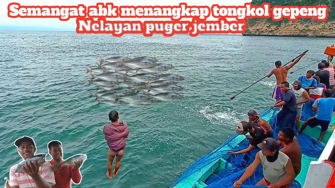 semangat abk menangkap tongkol gepeng ll nelayan puger