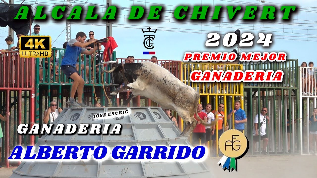 🔝🔝🔝UN ESPECTACULO DE VACAS