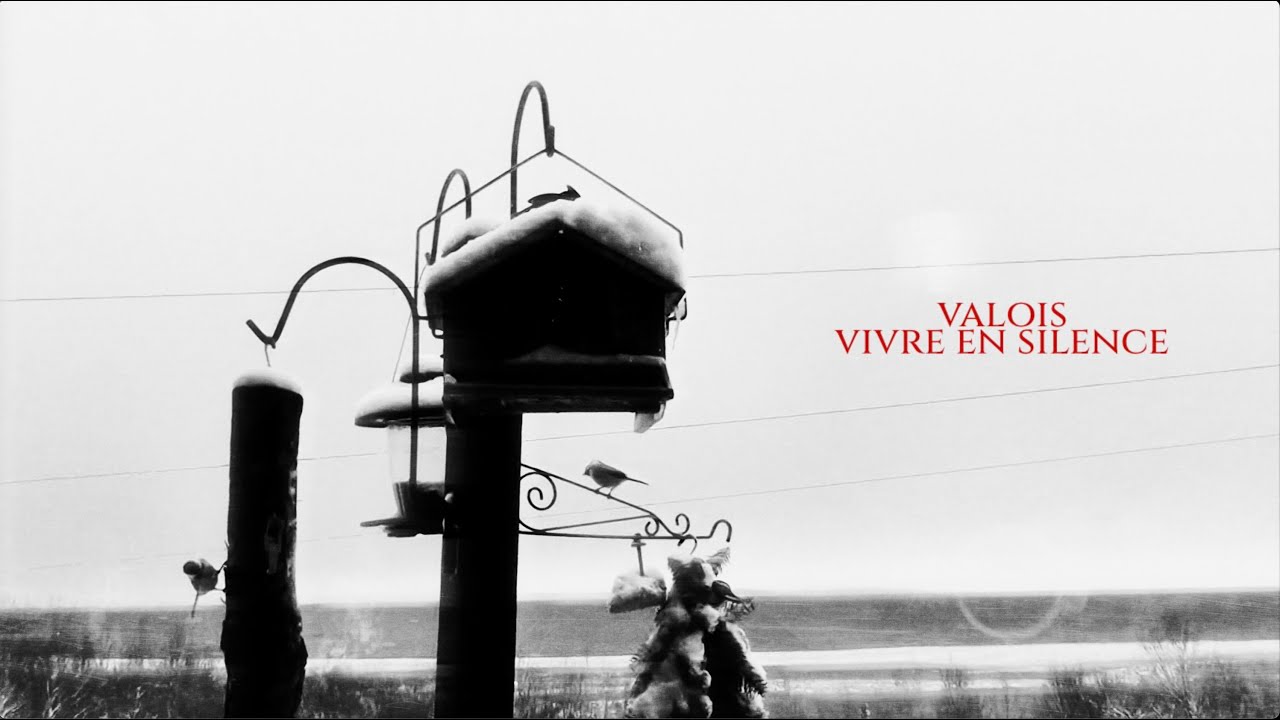 VALOIS - vivre en silence (lyric video)