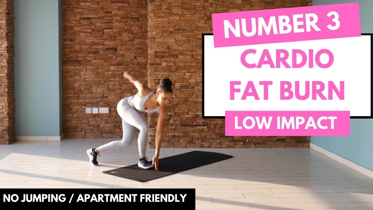 No Jumping - LOW IMPACT CARDIO Workout | Beginner Friendly - No.3