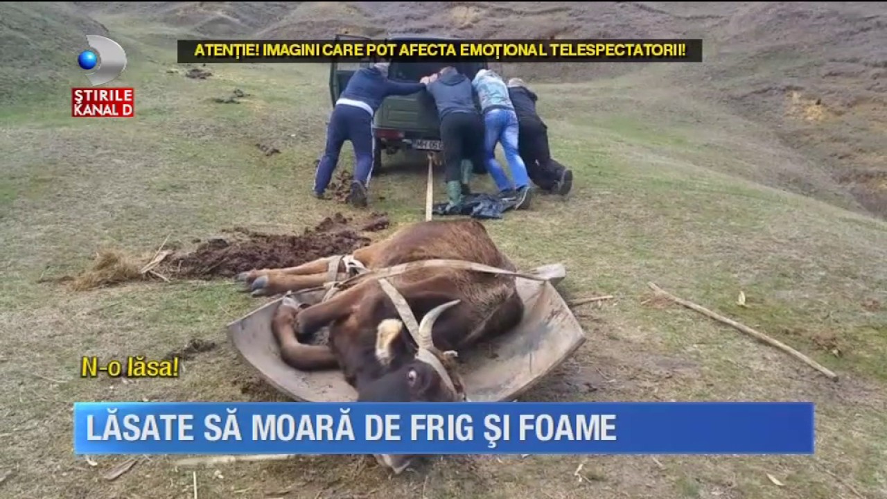 Stirile Kanal D (20.03.2017) - rubrica: 
