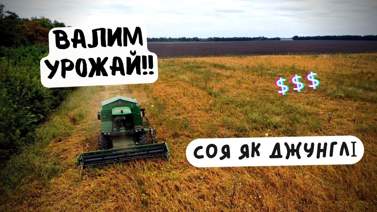 СОЯ ЯК ЛІС❗️ ВИРОСЛО ШОСЬ СТРАШНЕ 😳НЕ ЗНАЄМО ШО РОБИТЬ