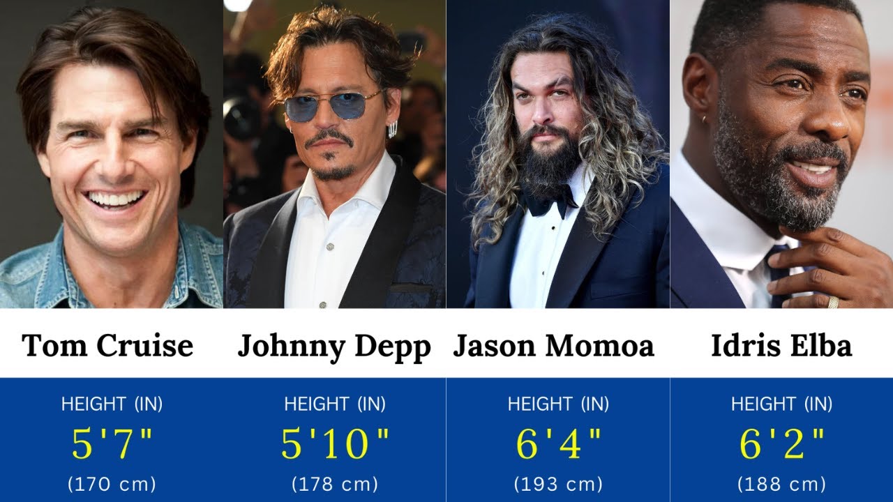 HEIGHTS OF HOLLYWOOD ACTORS || Tallest and Shortest