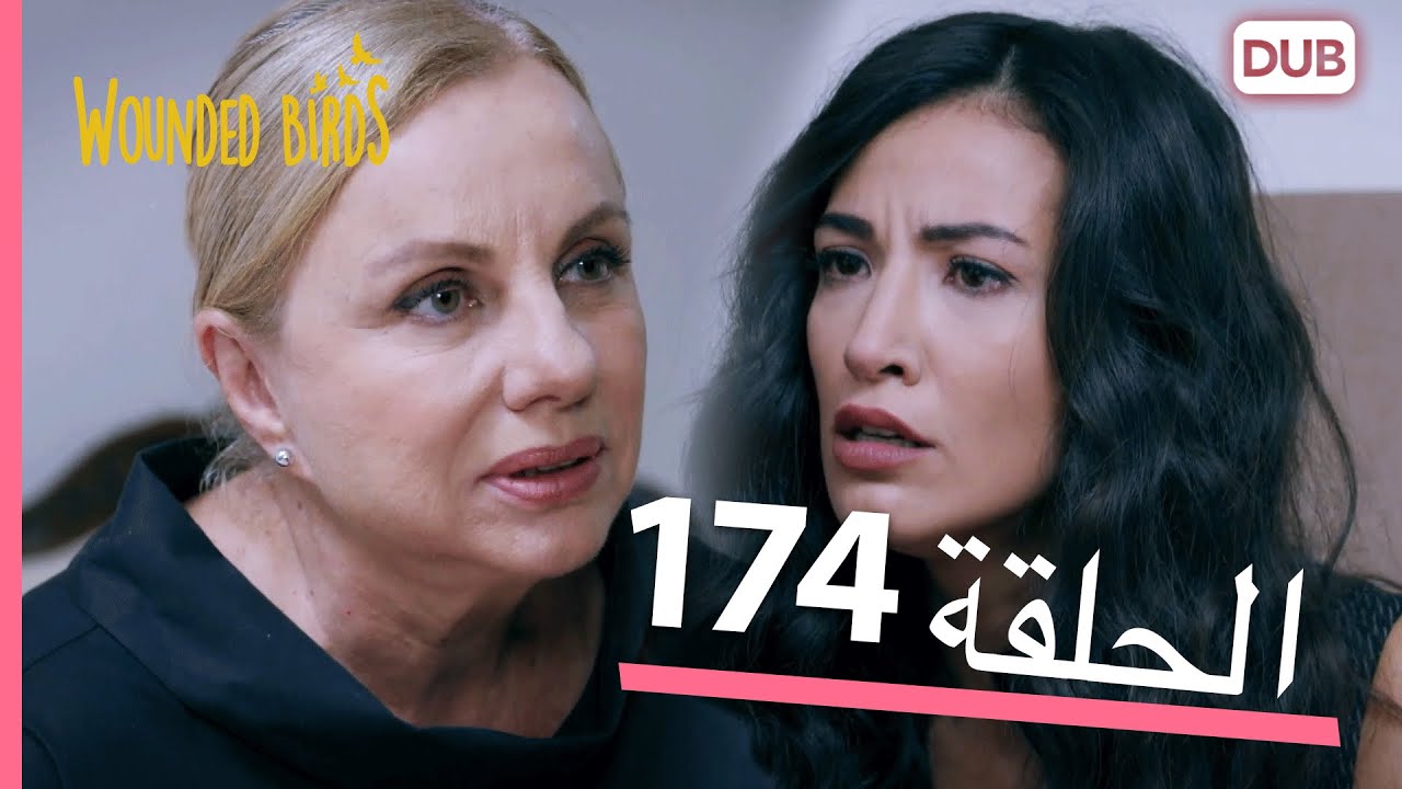 الطيور الجريحة | الحلقة الكاملة 174 |  مدبلج عربي
