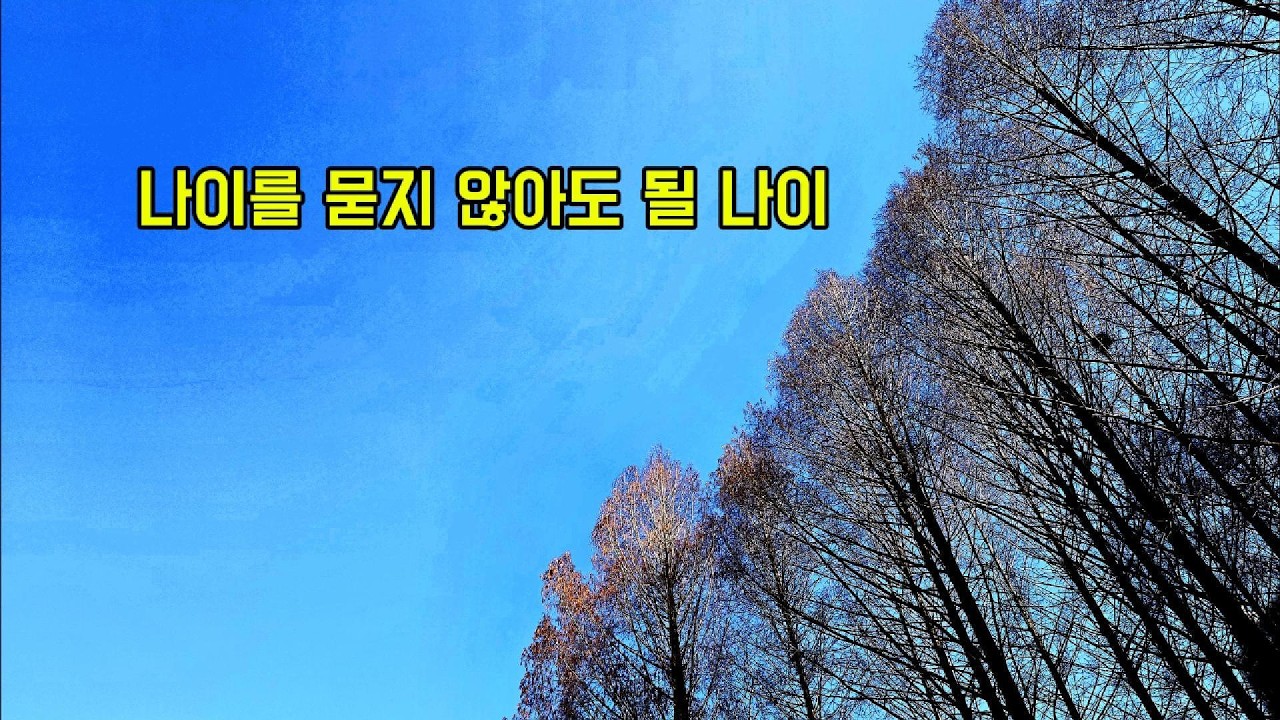 나이를 묻지 않아도될 나이 / 작 사 : 광외소