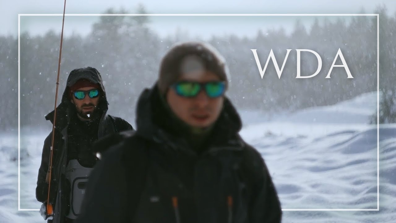 WILD FISH STORIES presents | WDA