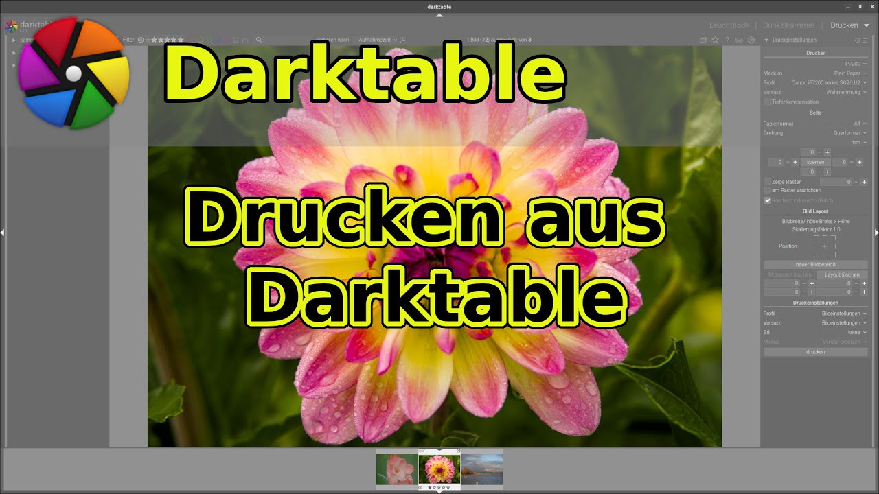 Drucken aus Darktable
