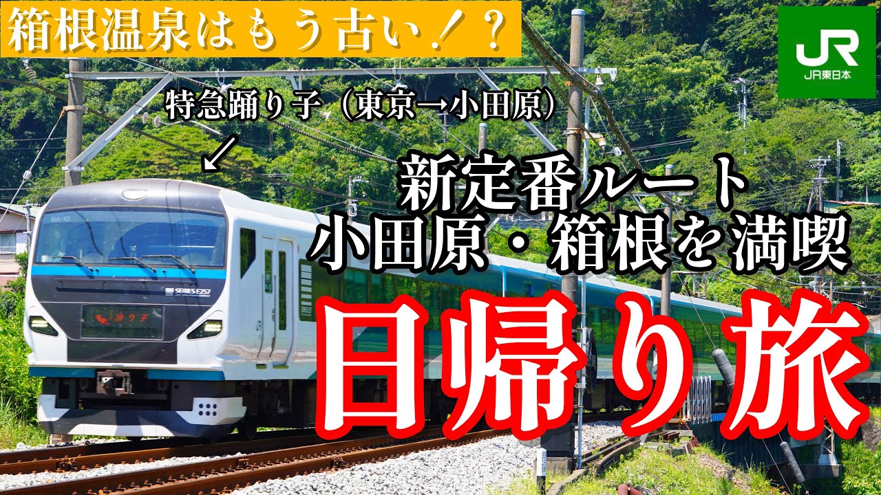 【令和の新定番！！】特急踊り子で行く！🚈小田原・箱根を遊び尽くす弾丸日帰り旅行 l Express Odoriko Odawara&Hakone Sightseeing