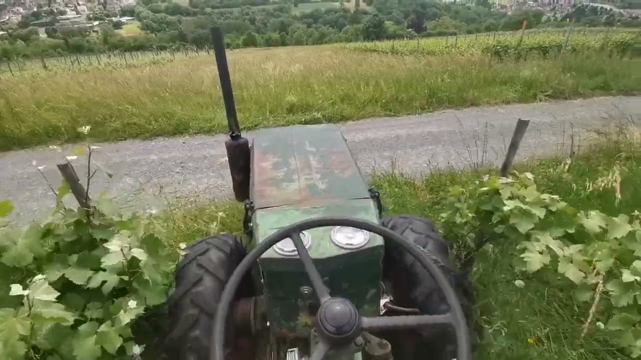 Weinberg Alte Anlagen mulchen mit Holder A30 und Fischer Sichelmulcher