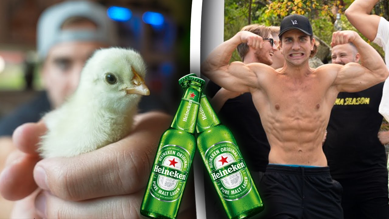 F&ouml;der upp kycklingar p&aring; midsommarafton