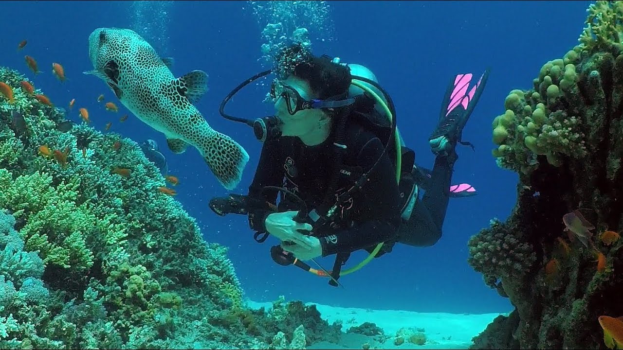 Duiken Egypte Dahab - Diving Egypt Dahab - Final Part - The Islands - Eel Garden - Mashraba