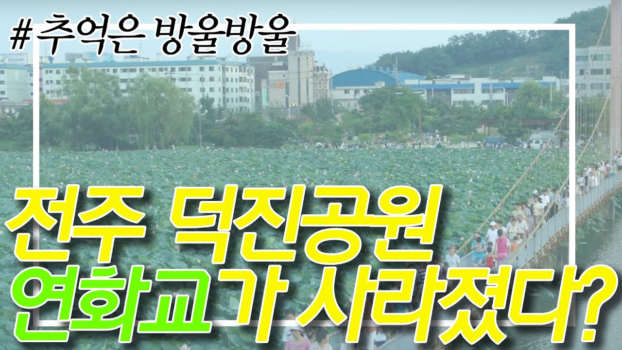 [별책부록] 추억의 전주 덕진공원, 연화교가 사라졌다? 전주시민 추억의 사진 대방출!! #전주 #덕진공원 #연꽃 #전주시