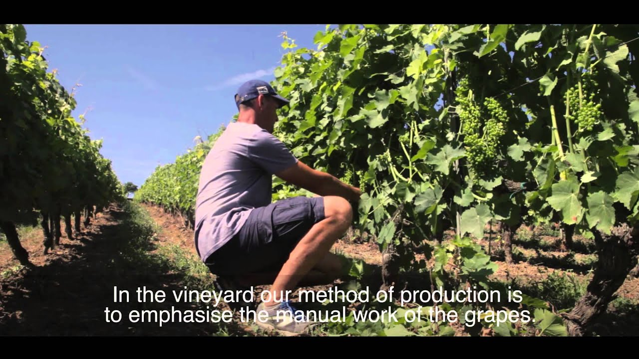 Domaine Vayssette  A.O.C Gaillac - Wyn