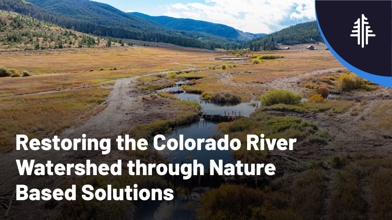 Restoring the Colorado River Watershed through Nature Based Solutions