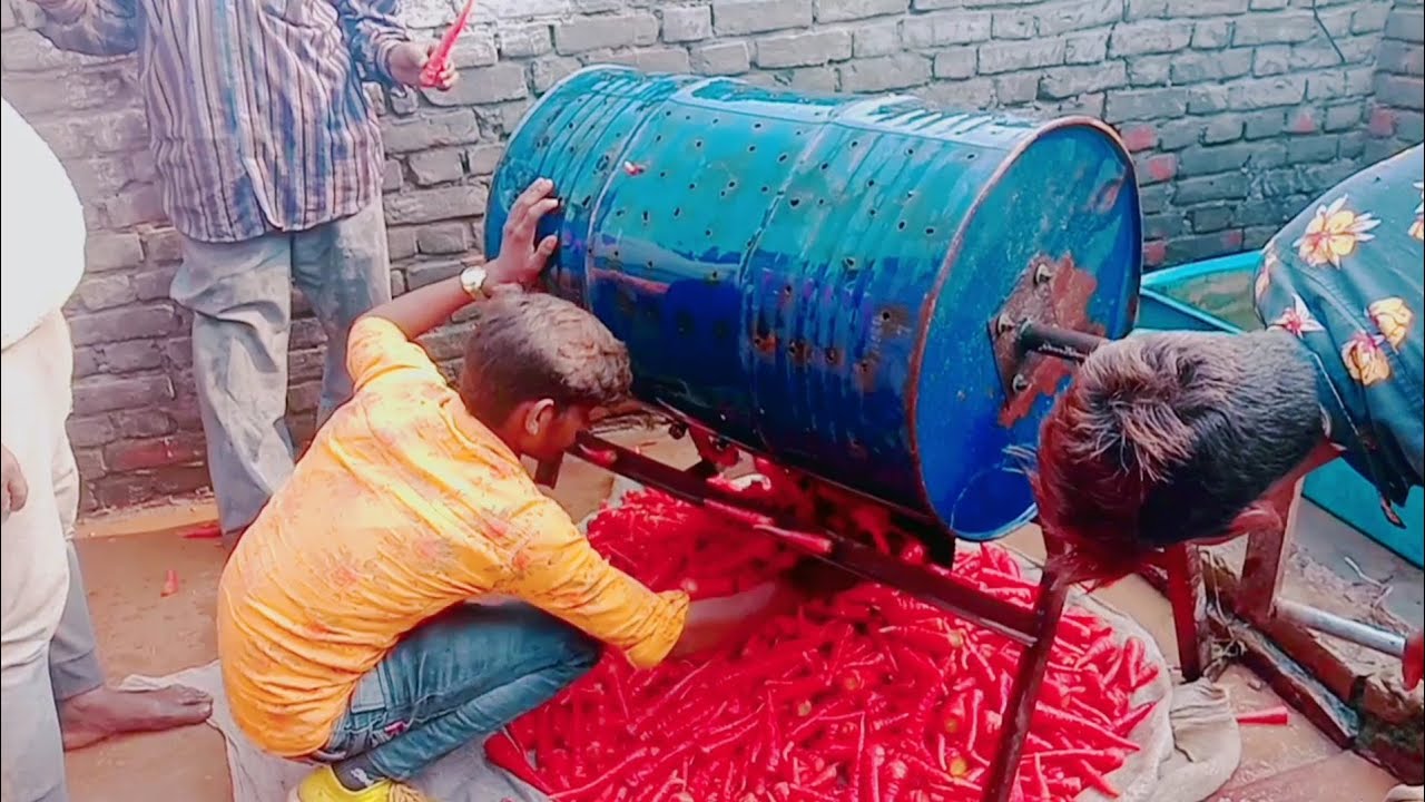 गाजर धोने  की मशीन किसान भाइयों के लिए गाजर धोने का सबसे बेहतरीन तरीका 2021 में 2 तारीख को बनाया