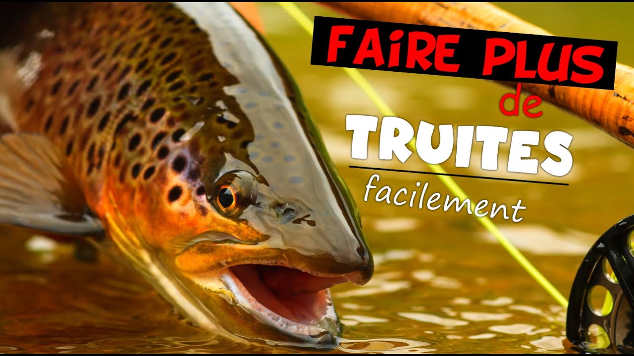 6 CHOSES a SAVOIR pour PÊCHER BEAUCOUP PLUS de TRUITES