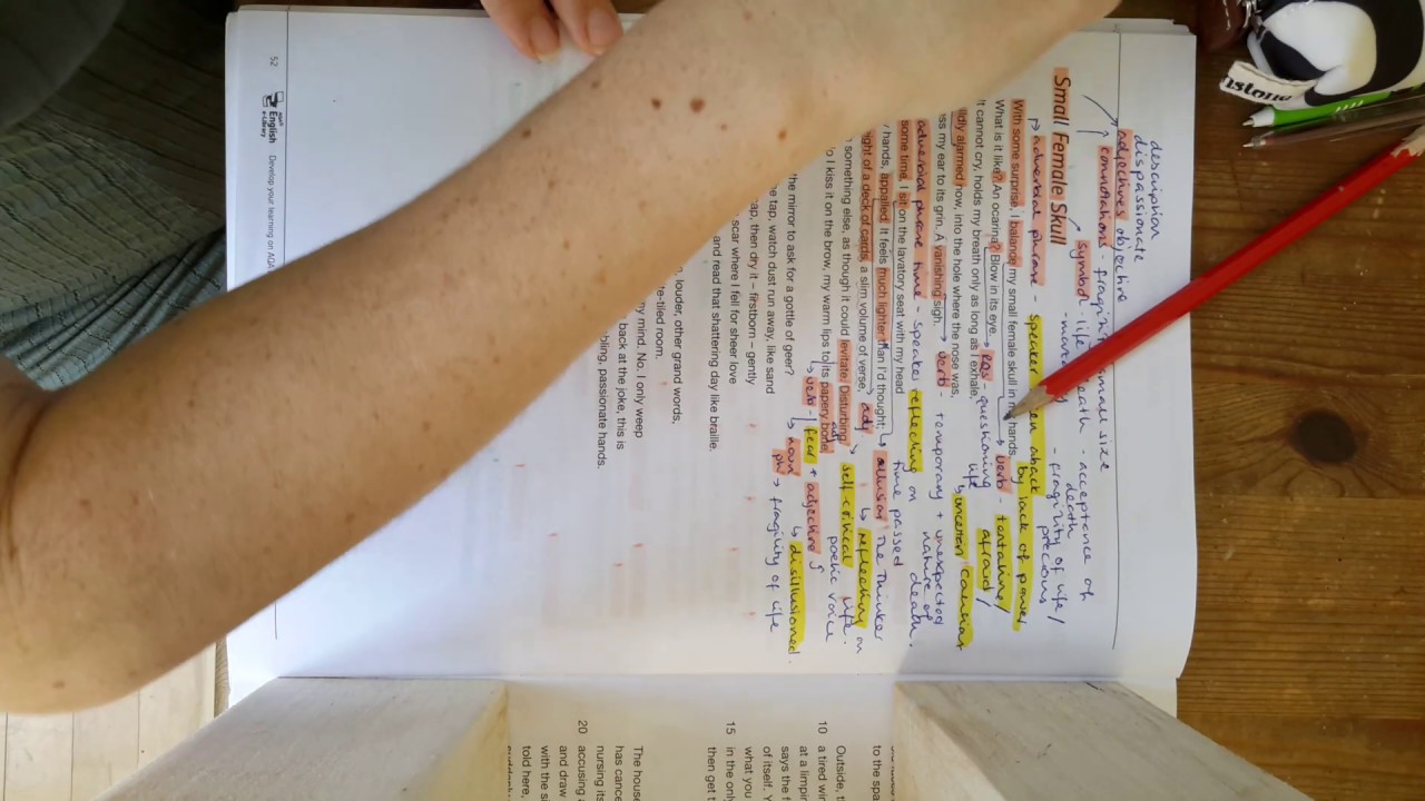 Y12 LangLit Small Female Skull Annotations 1