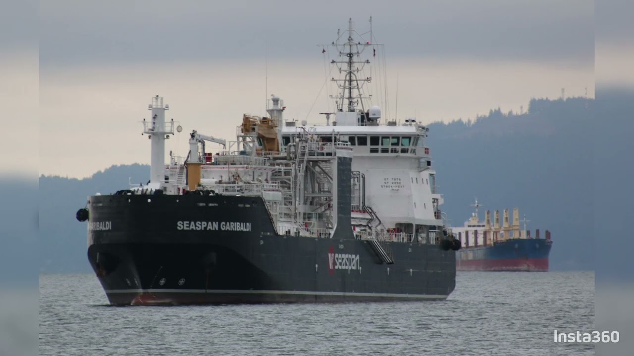 Vancouver whale watching tour 2025