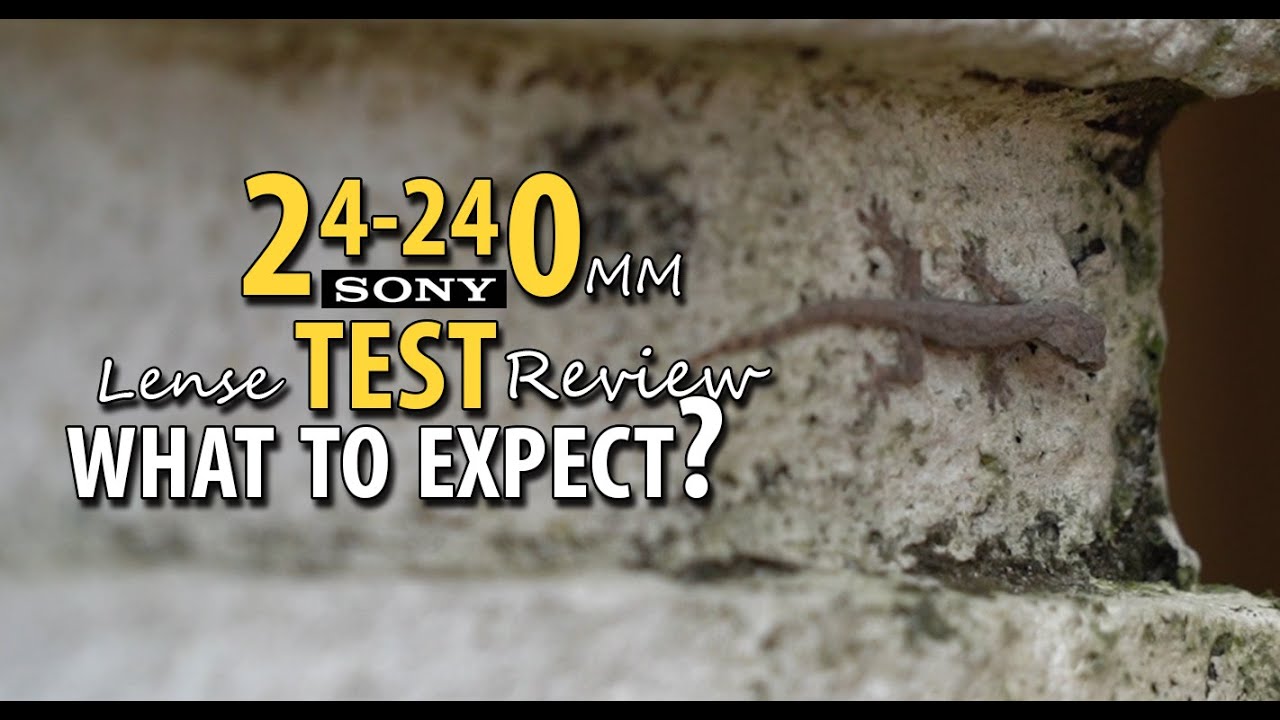 CHEAPEST Sony Full Frame Telephoto 24-240mm