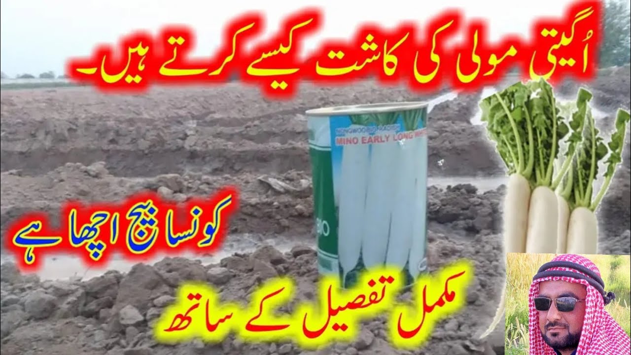 agaiti mooli ki kasht.. mukamal treeqa