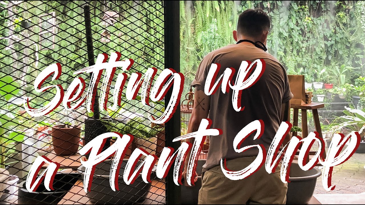 Setting up a plant shop