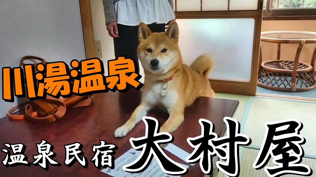 【愛犬と行く川湯温泉の旅１日目】和歌山県田辺市扇ヶ浜海岸～中辺路「ちかつゆ」～川湯温泉「大村屋」