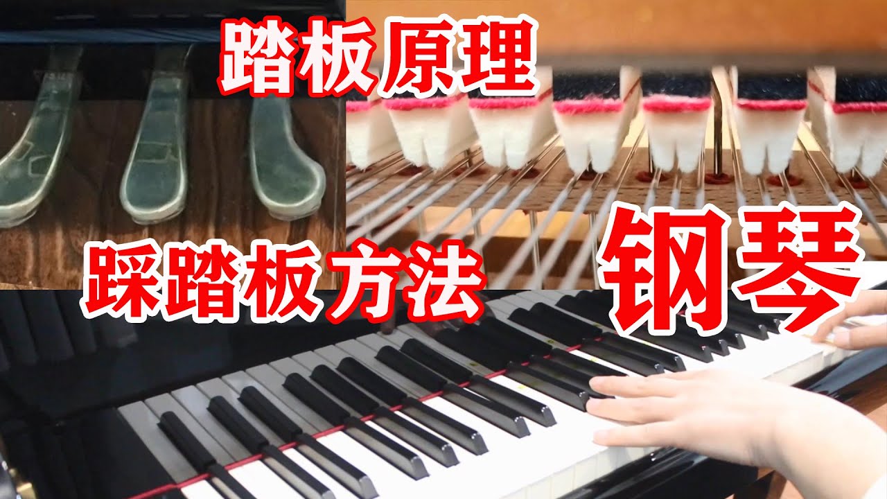 【钢琴入门】踏板怎么用？什么原理？怎么踩？怎么练？避免什么？容易出的问题.