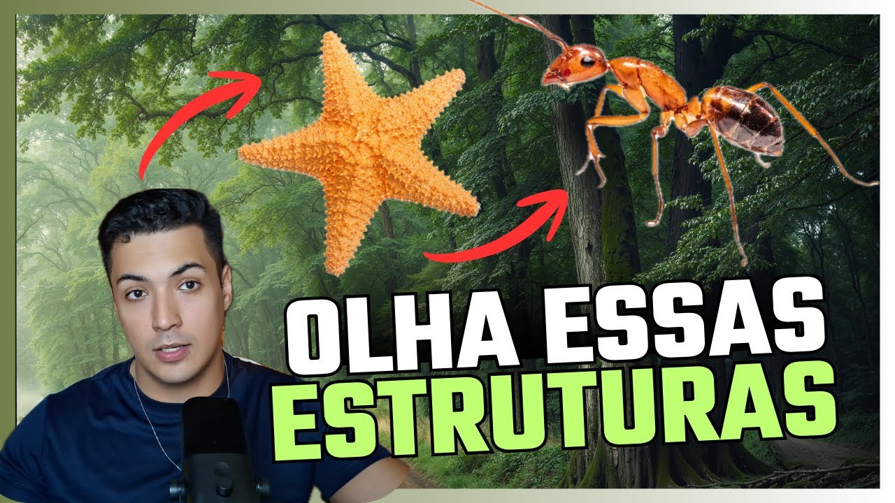 Arquitetura Corporal dos Animais: da Simplicidade à Complexidade